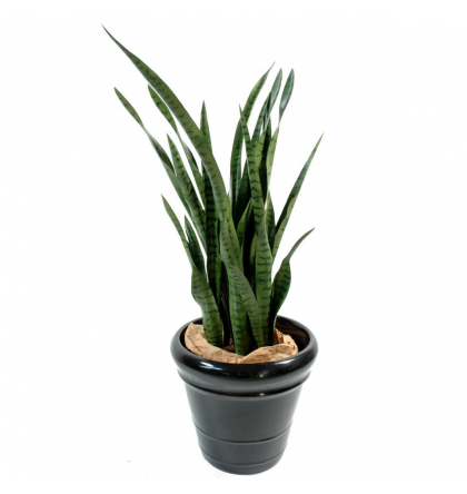 Sansevieria artificiel 110cm