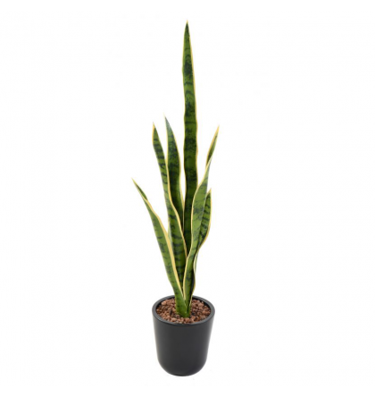 Sansevieria Piquet artificiel 75cm