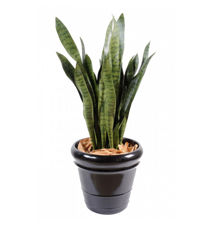 Sansevieria artificiel large H90cm