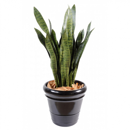 Sansevieria artificiel large 90cm