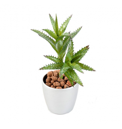 Succulent mini artificiel 18cm