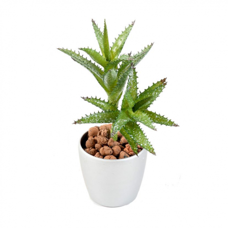 Succulent mini artificiel 18cm