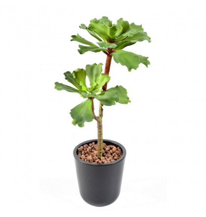 Succulente artificielle 50cm