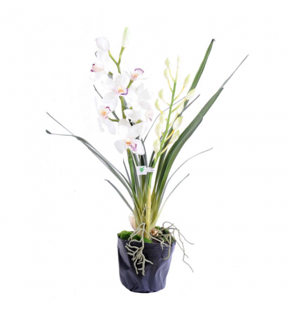 Orchidée artificielle Cymbidium H80cm