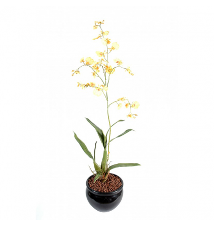 Orchidée artificielle Oncidium 60cm