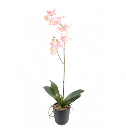 Orchidée artificielle Phaleanopsis 90cm