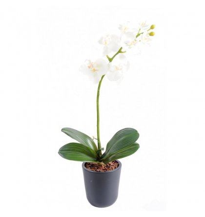 Orchidée artificielle Phaleanopsis 65cm