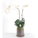 Orchidée artificielle Phaleanopsis 70cm avec vase