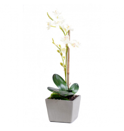 Orchidée artificielle Phaleanopsis H37cm avec pot
