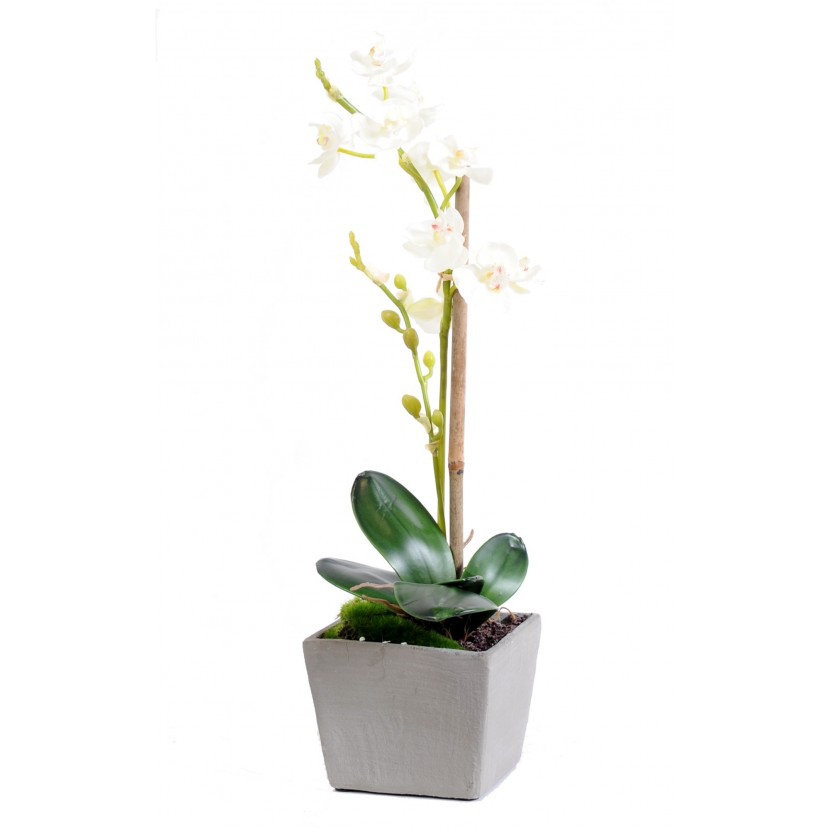 Orchidée papillon et pot en verre inclus, plantes artificielles Götessons