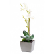 Orchidée artificielle Phaleanopsis 70cm avec vase