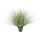 Onion Grass artificiel New Round 60 à 110cm