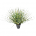 Onion Grass artificiel New Round 60 à 110cm | Graminée artificielle