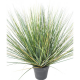 Onion Grass artificiel New Round 60 à 110cm