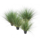 Onion Grass artificiel New Round 60 à 110cm