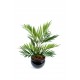 Chamaeodorea 50cm | Plante verte artificielle