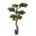 Pin Bonsai UV artificiel H150cm