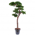 Pin Bonsai UV artificiel H220cm