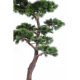 Pin Bonsai artificiel UV 200cm