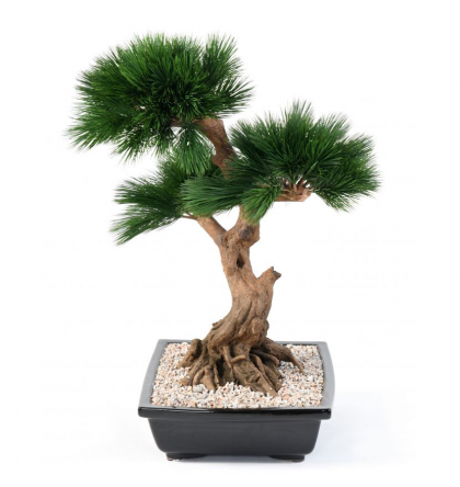 Bonsai Pin en coupe artificiel 70cm