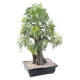 Bonsai artificiel Aralia en coupe 50 à 95cm