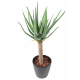 Aloevera artificiel 125cm