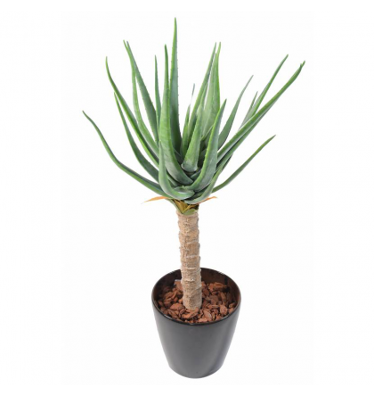 Aloevera artificiel H125cm