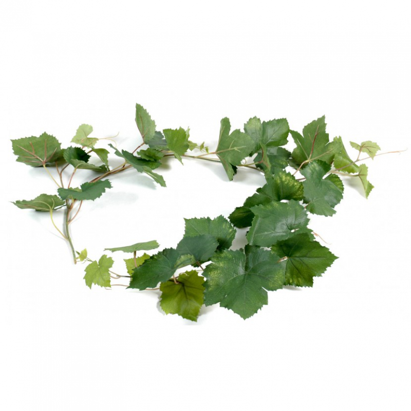 Acheter des Guirlande de feuilles de vigne artificielle TARON, vert, 150cm  - Fausses plantes