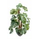 Philodendron tuteur coco artificiel  H100cm