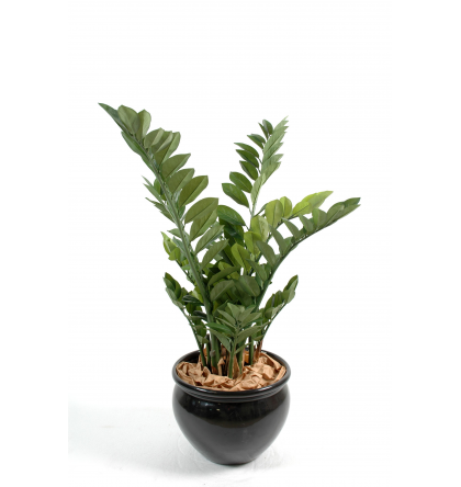 Zamia artificiel H90cm