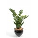 Zamia artificiel 90cm