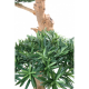 Podocarpus nuage large artificiel 150cm