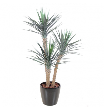 Yucca rostrata artificiel H155cm