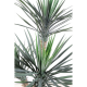 Yucca rostrata artificiel 155cm