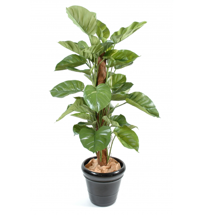 Pothos géant artificiel H150cm