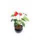 Anthurium artificiel 45cm | Plante verte artificielle