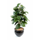 Ficus artificiel | Elastica (Rubber plant tree) 110 à 180cm