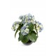 Hortensia artificielle H50cm