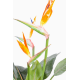 Strelitzia artificiel 100cm