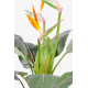 Strelitzia artificiel 100cm