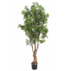 Aralia ming nitida artificiel UV 180cm