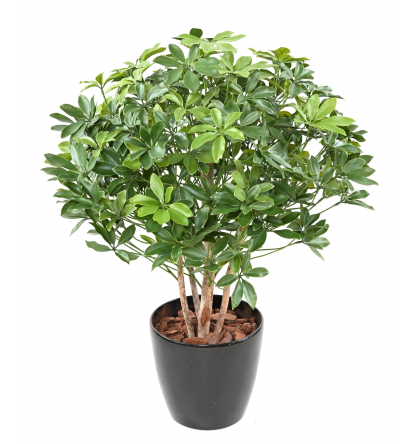 Schefflera buisson UV artificiel H90 & 110cm