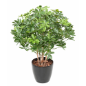 Schefflera buisson UV artificiel H90 & 110cm