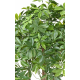 Schefflera buisson artificiel UV 90 et 110cm