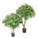 Schefflera buisson artificiel UV 90 et 110cm