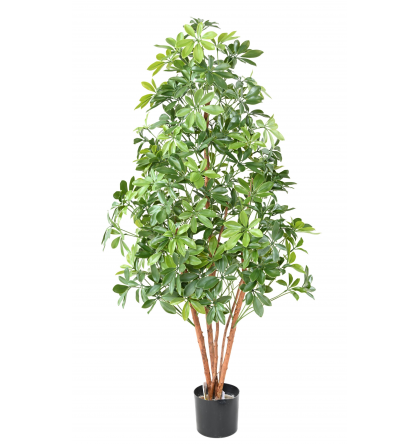 Choisya artificiel UV tree H150 & 180cm