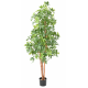 Choisya artificiel tree 150 et 180cm