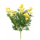 Marguerite anthemis (40cm)