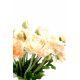Bouquet renoncules
