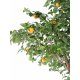 Oranger arbre double artificiel 340cm